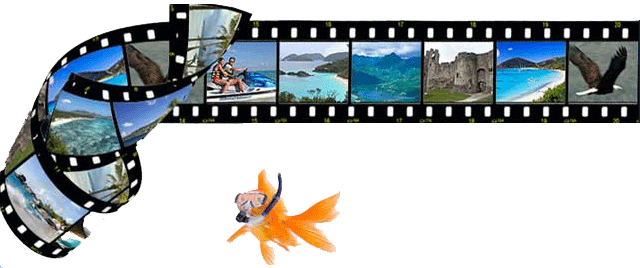 Click Here to visit our Shore Excursion Website